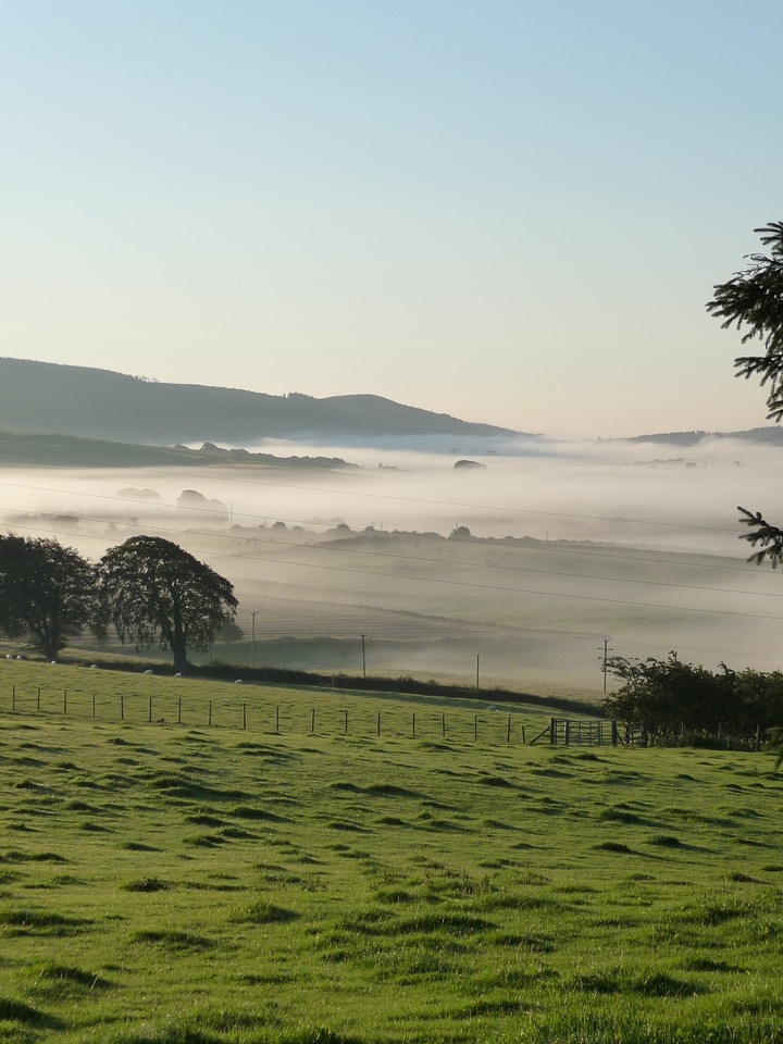 Landscape nature mist