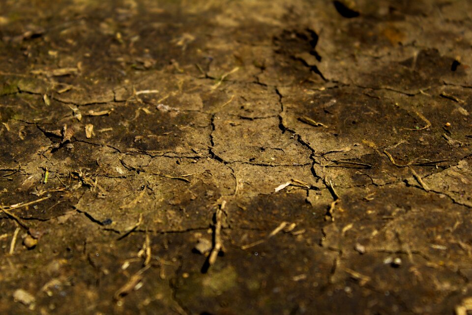 Texture dry soil