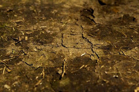 Texture dry soil