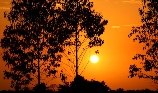 Nature sunset sol photo