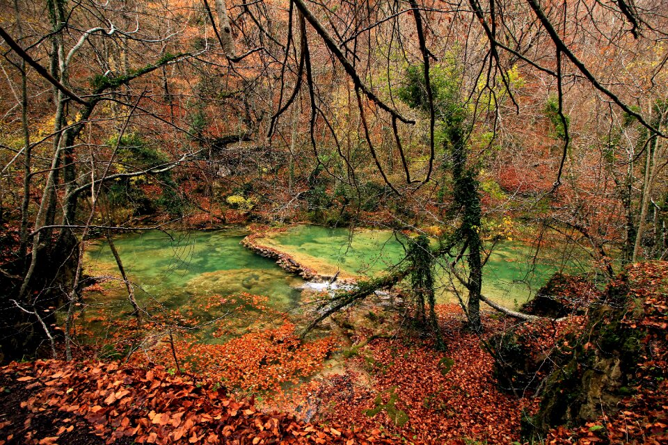 Autumn landscape leaf