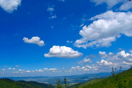 Mountains nature forest photo