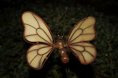 Wing rusty gartendeko photo