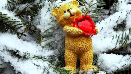 At the court of the mascot teddy bear