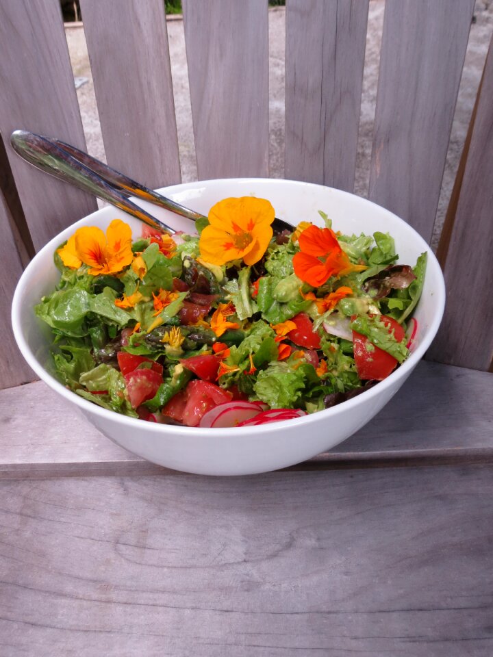Meal healthy salad