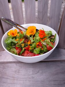 Meal healthy salad photo