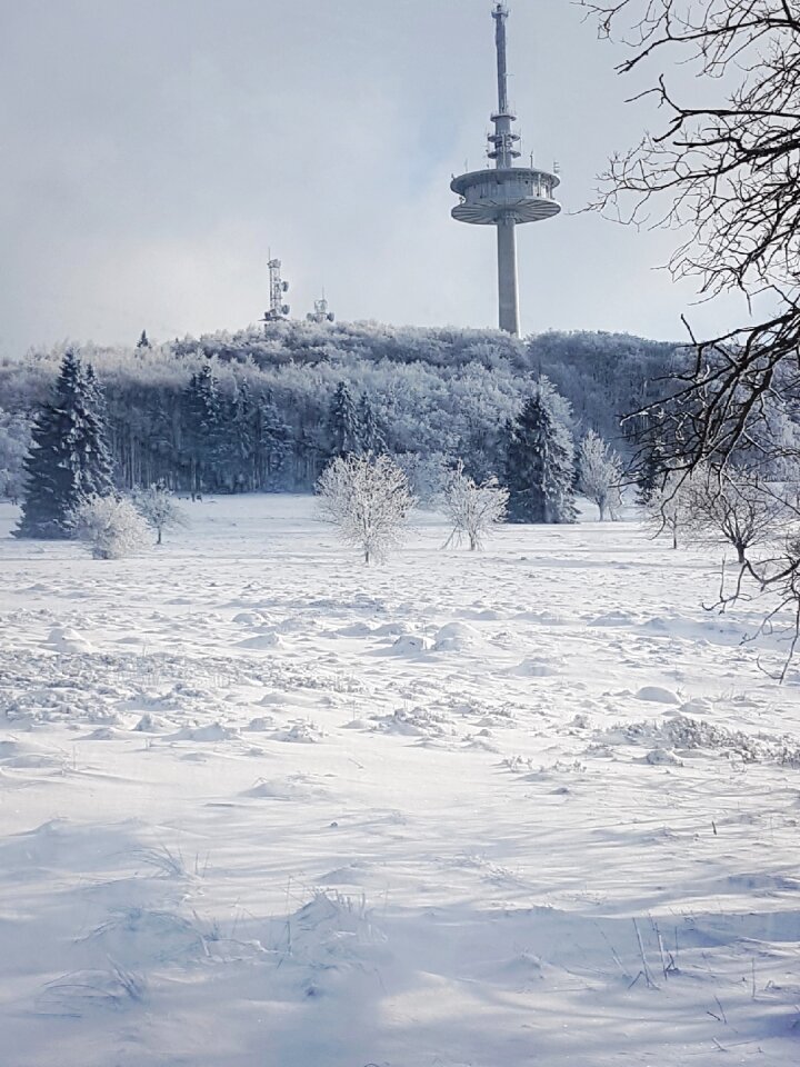 Cold landscape snow white