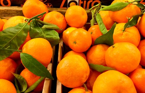 Healthy market orange healthy photo