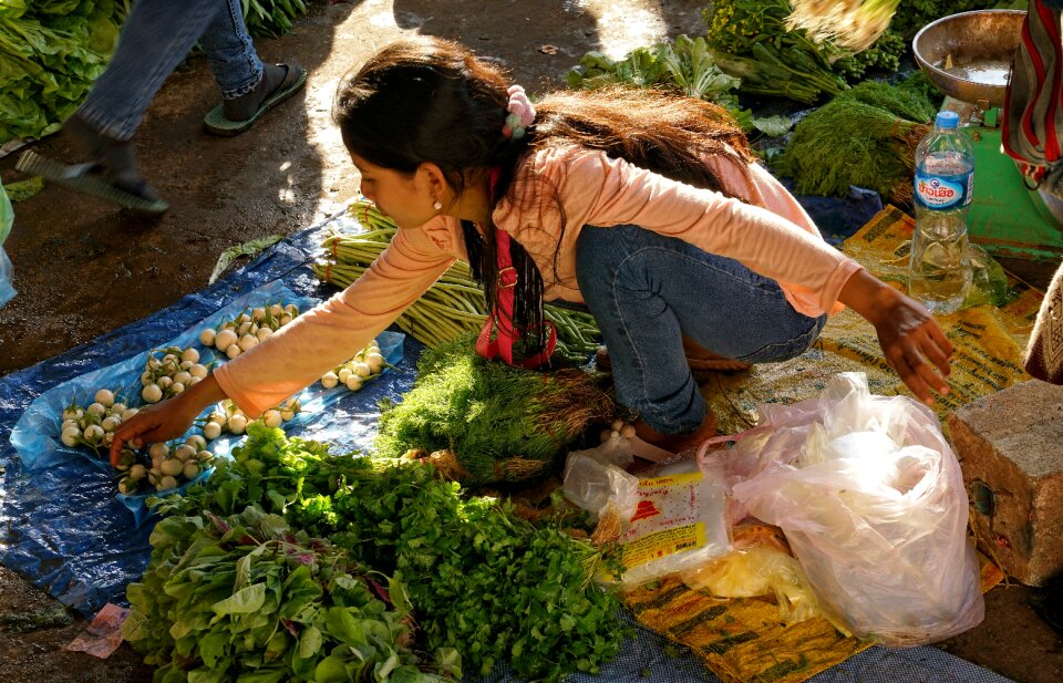 Home produced vegetables market photo