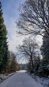 Nature landscape winter