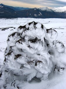Frost snow landscape photo