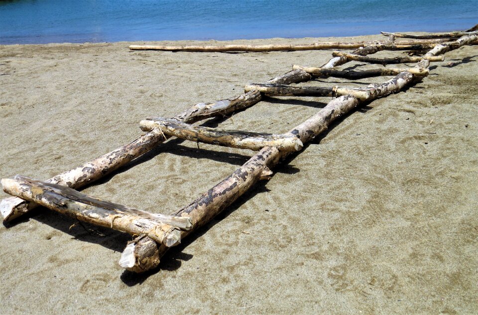 Wood beach sand