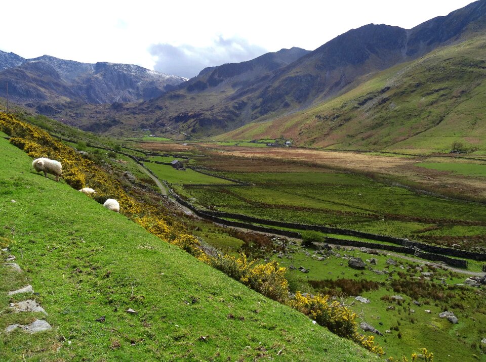 Valley grass hill