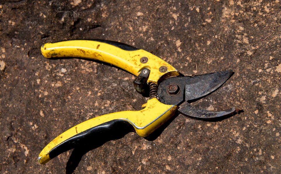 Cutting garden equipment