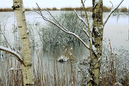 Winter at the court of landscape