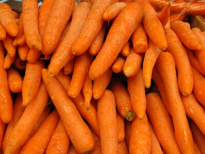 Carrot grow root vegetable photo