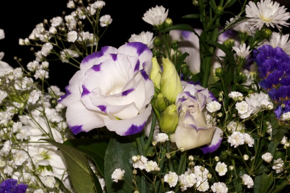 Bouquet of flowers nature decoration