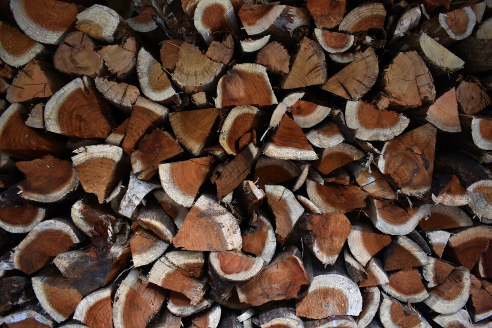 Nature closeup wood