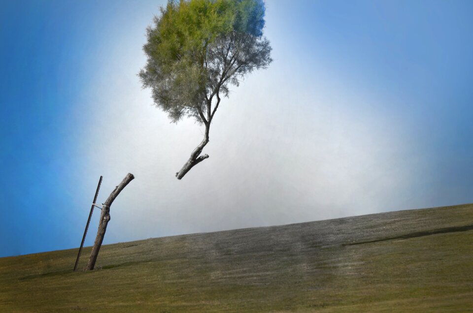 Landscape water art