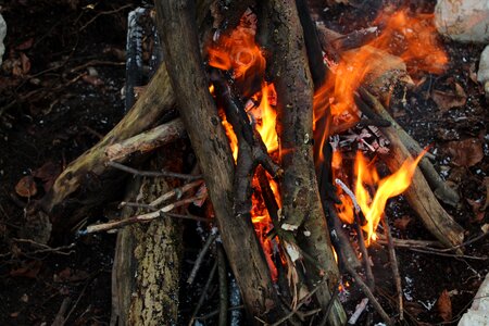 Firewood campfire burn