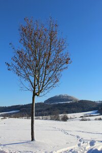 Nature cold hohenstaufen
