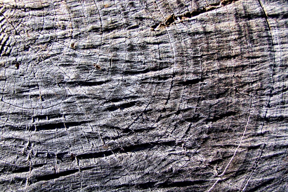 Textiles rau wood