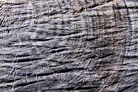 Textiles rau wood