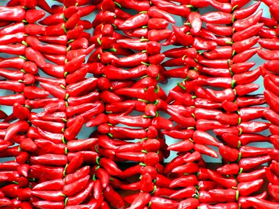 Grow fruit red