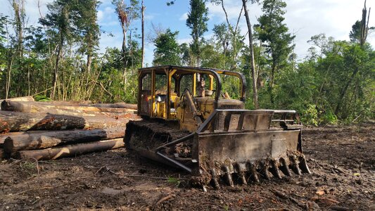 Machine tree bulldozer