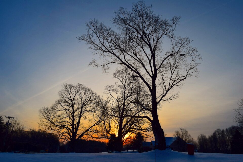 Winter nature sunrise