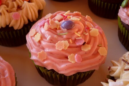 Food pastry cupcake photo