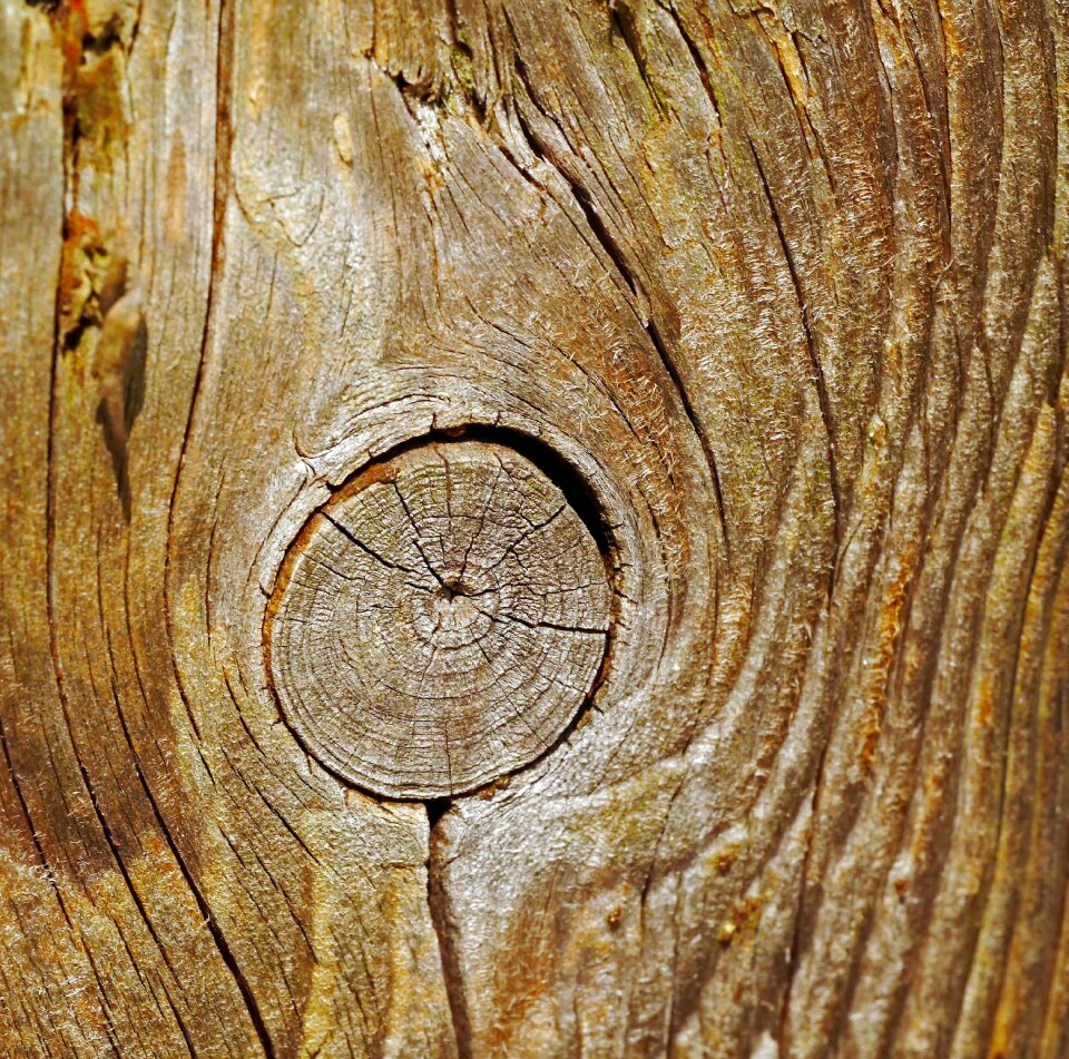 Square wood pasture fence woods