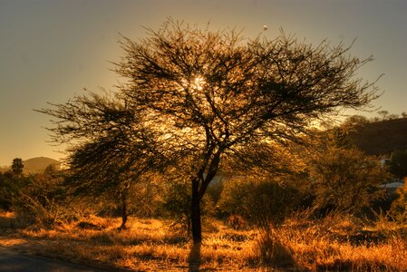 Landscape outdoors africa photo