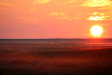 Sun waters fog