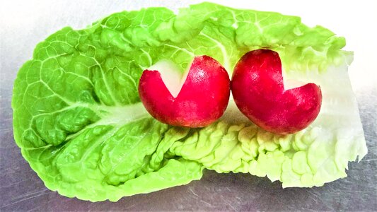 Vegetables green salad leaf red radishes