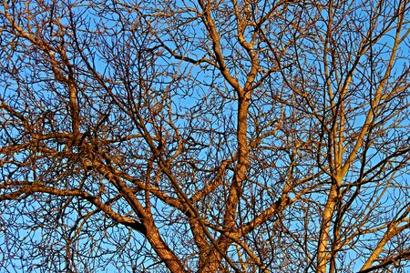 Nature landscape sky photo