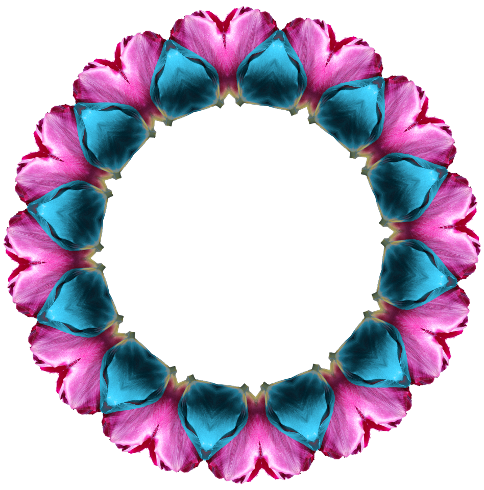 Frame blossom pink