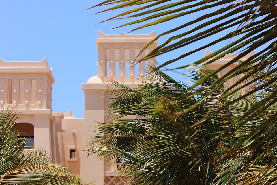 Cape verde palm trees hotel photo