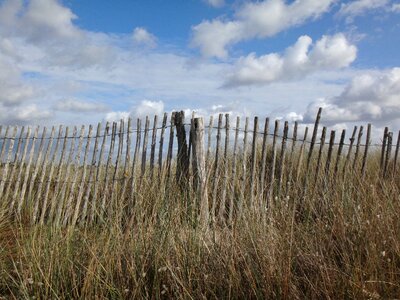 Fence grass dunes