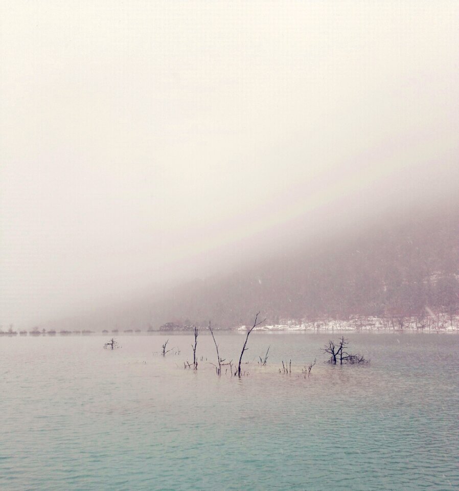 Sea landscape dawn