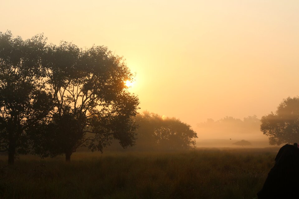 Sunset fog photo