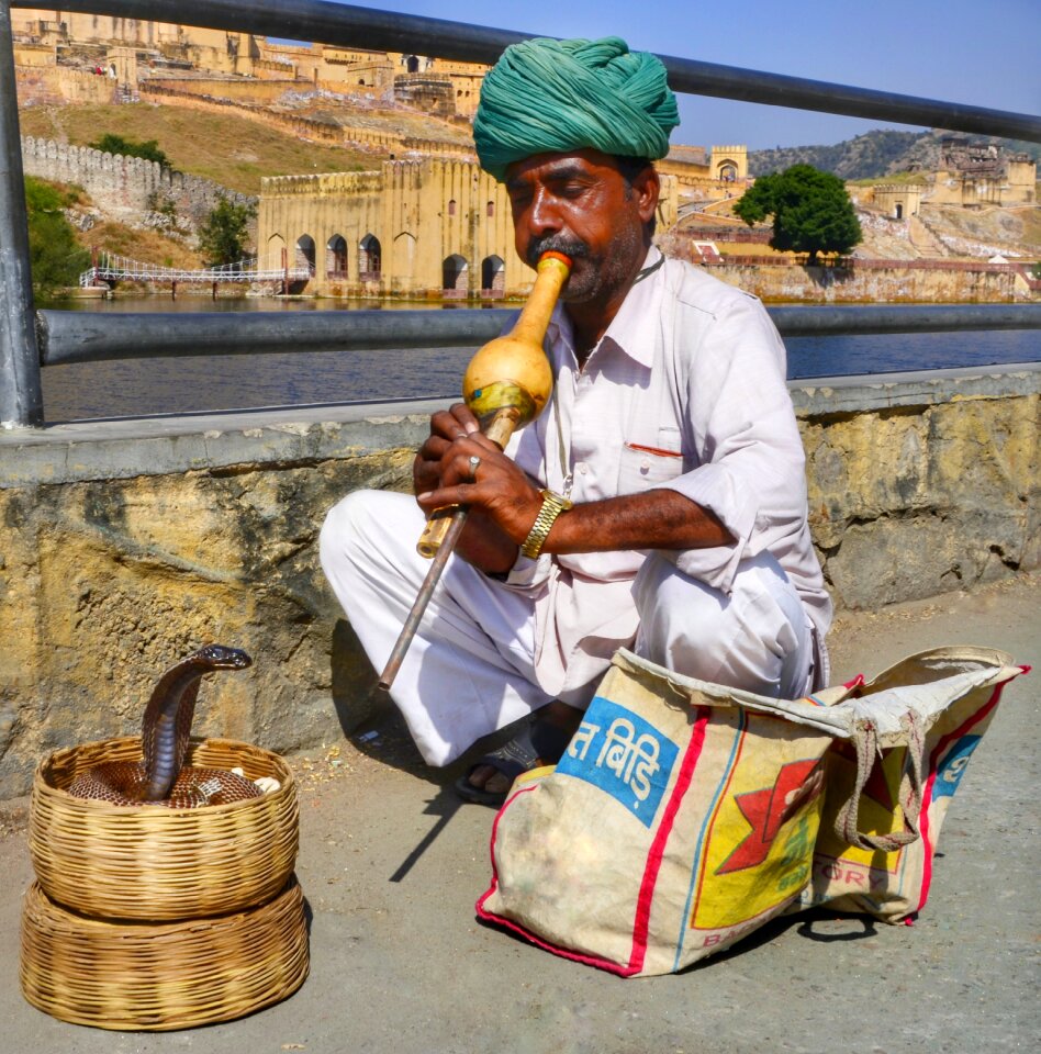 Amer pungi instrument