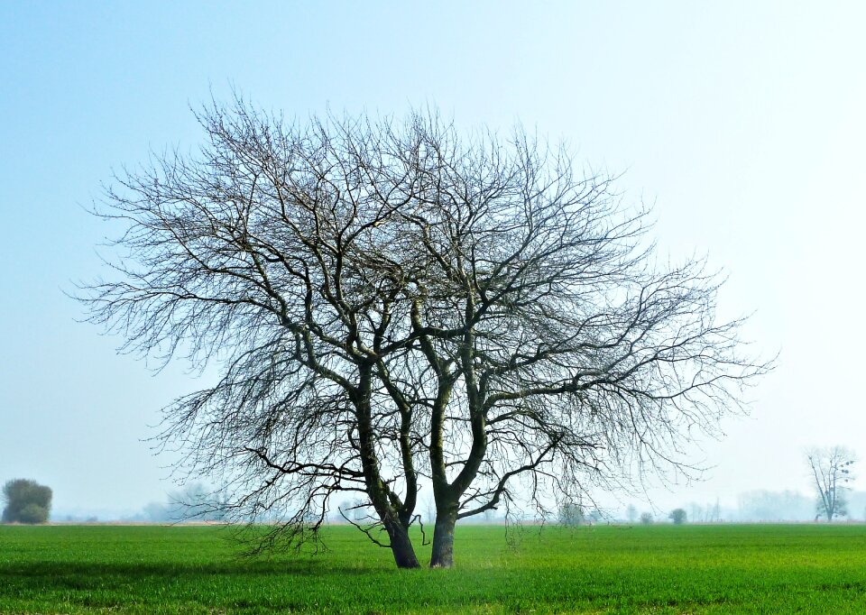 Nature season lawn