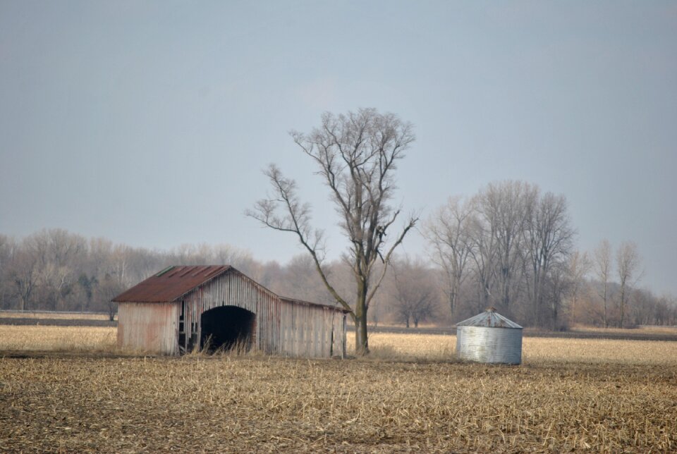 Field landscape