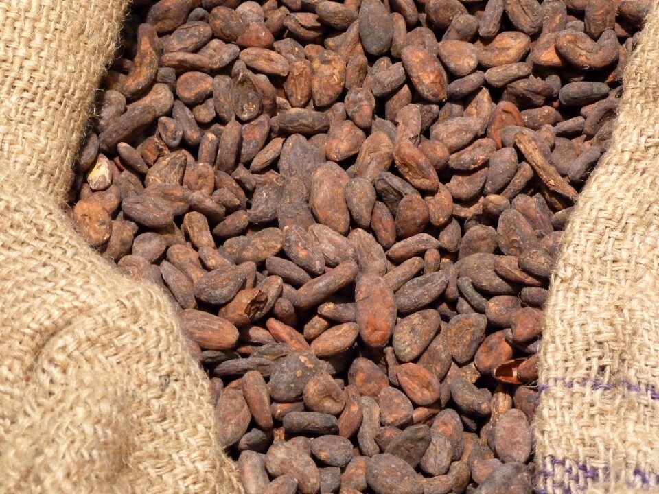 Bag close up grains