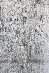 Old abstract wood photo