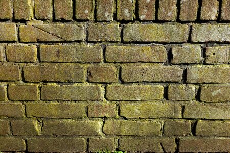 Green brick brickwork seam photo