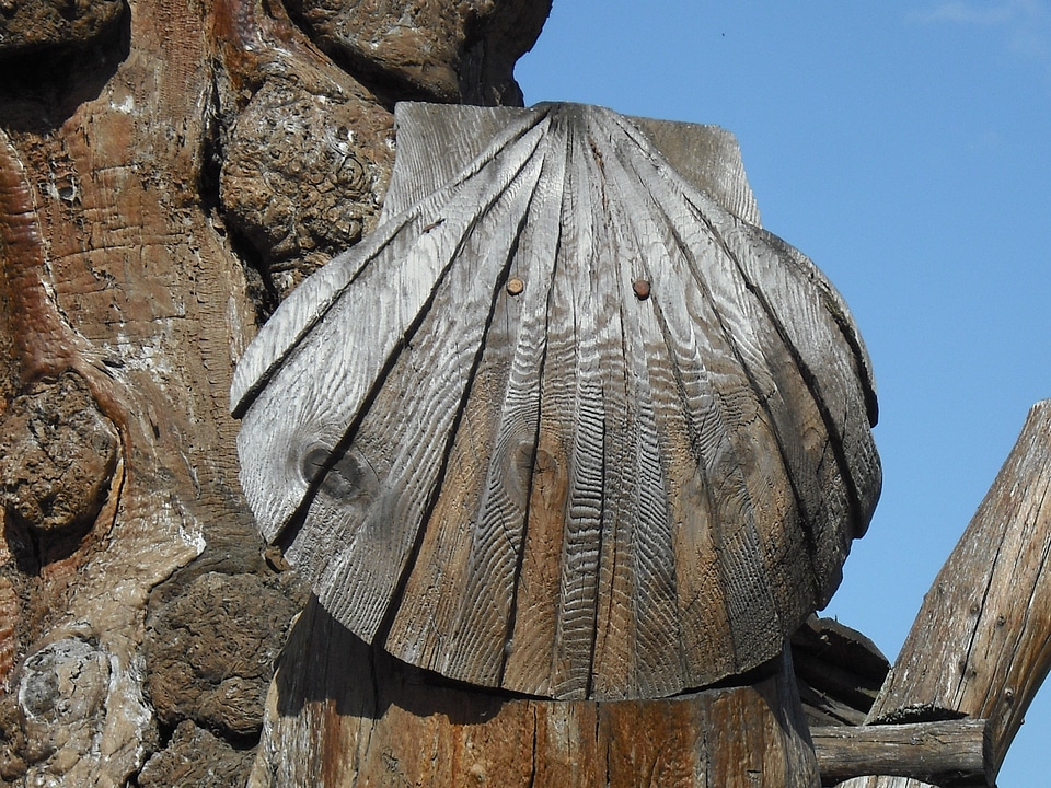 Saint jacques de compostela shell symbolism