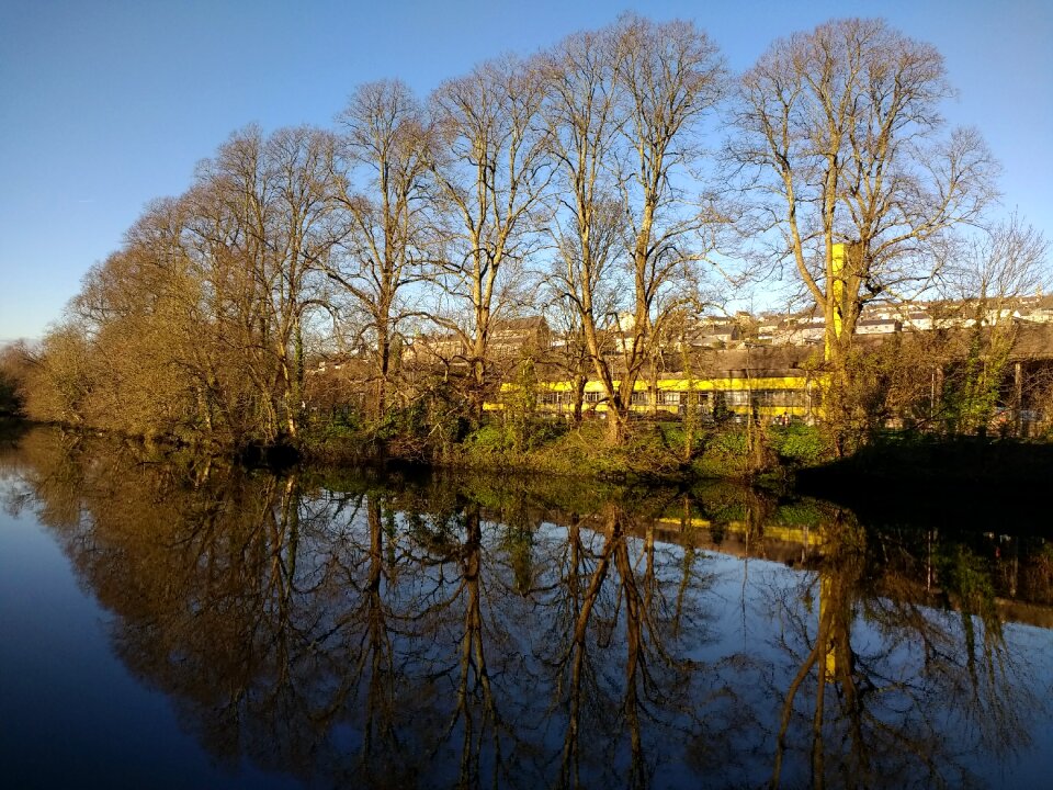 Tree river landscape photo