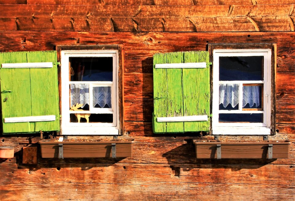 Seedlings shutters austria